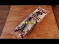 Bass Fishing Baits How To Fish Herring Bass Fishing Baits How To Fish Herring