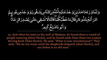 Surah Qasas _ Nasser al Qatami سورة القصص _  ناصر القطامي