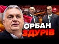 🤬Це вже перебір! ОРБАН вляпався у НОВИЙ СКАНДАЛ