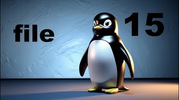 Faydalı Linux Komutları 15: file Komutu ile Dosya Uzantısı Öğrenme (Dosya ve Dizin Yönetimi)