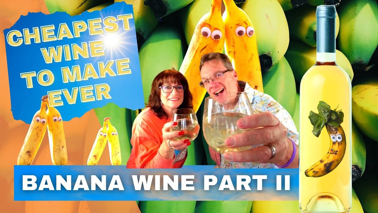 Как сделать вино из фруктов — рецепт бананового вина — самое дешёвое вино Банановое вино Часть II