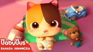 Bayi Kucing Super Lucu \u0026 Imut 🍼| Lagu Anak \u0026 Kartun Anak | Kebiasaan Baik | BabyBus Bahasa Indonesia