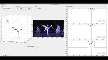 Biomechanical Analysis Progamme Demo (ZenMech)