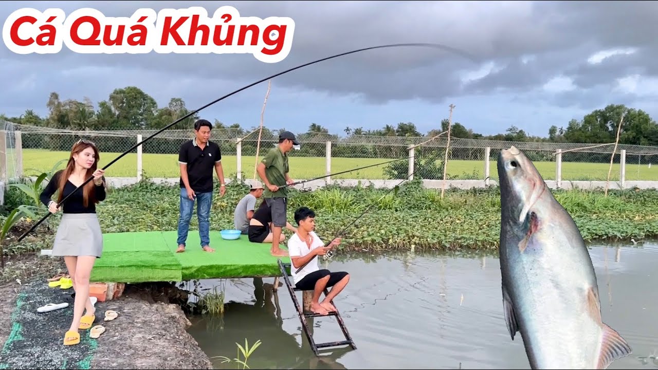Thử Thách Câu Cá Khủng Nhận Tiền Triệu Mỗi Con, Hôm Nay Ly Ngô Trúng Mánh | Ly Ngô Vlog