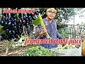 How to make FERMENTED PLANT JUICE/With DUHAT PICKING..