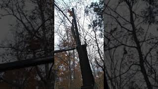 Indiana opening day of shot gun Indiana Gun Season