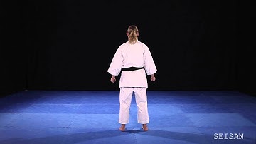 Shito Ryu Shukokai Seisan Rear View