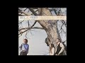 ザ・スリー / 新しい明日 (The Three / Atarashī Asu "New Tomorrow")