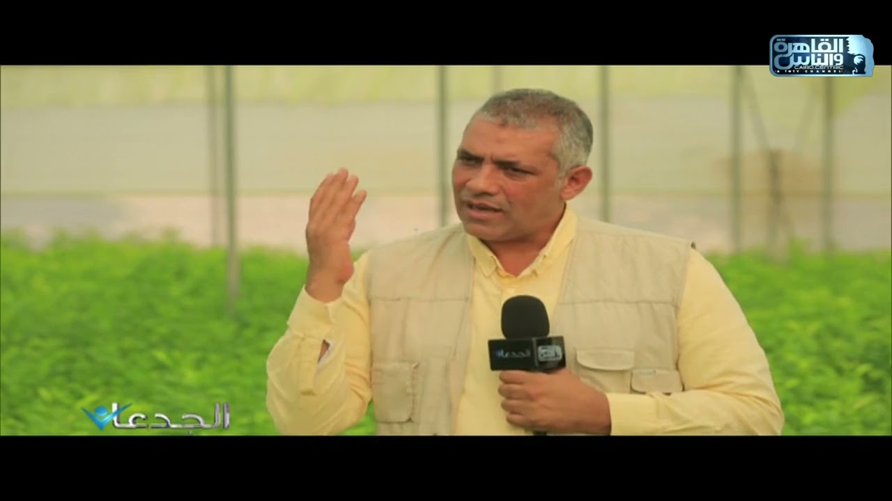 م.محمد سالم بركات: نعتمد على أجود أنواع بذور 