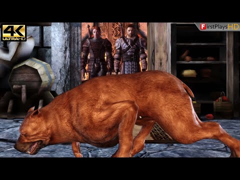 Dragon Age Origins - Combat PC Gameplay Part 1 [HD] 