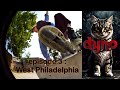 Road to Dynovfr4k episode 3 : " that one spot " Broll