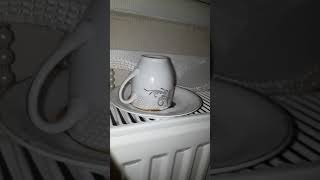 L Harfi Ile Başlayan Isimlerin Aralık Ayı Fal Yorumları