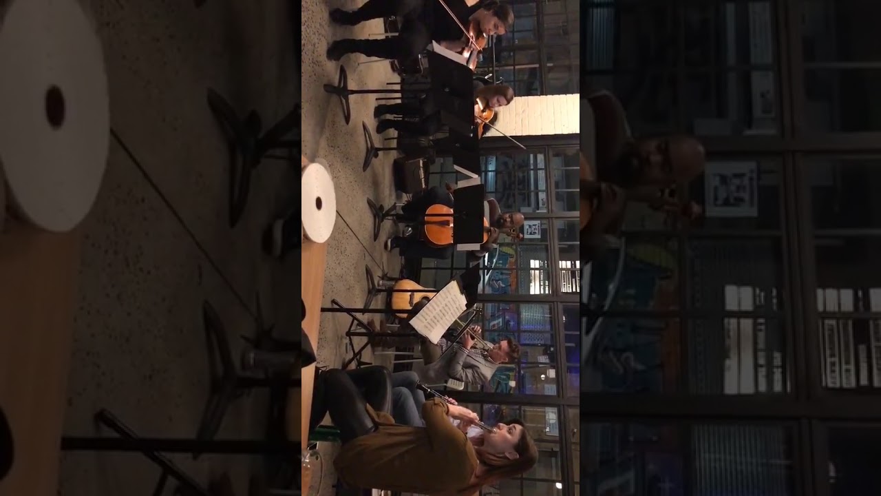 Anam Cara - Meraki Chamber Players and Joe Young