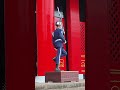 禮兵上哨台，哇嗚！180度轉身🤩，太帥了~👍💪💪#空軍儀隊 #honorguards #忠烈祠 #changingofguards