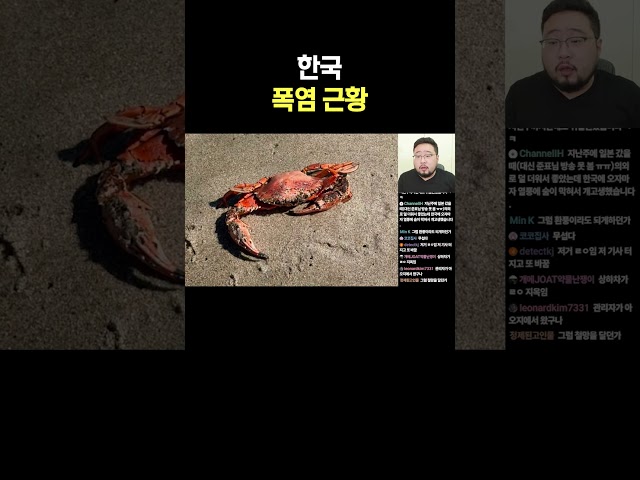 한국 폭염 근황