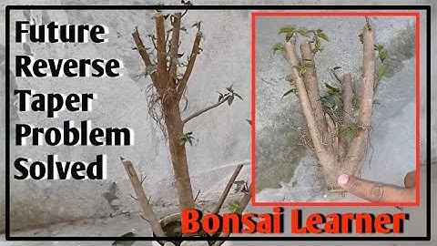 How to Solve Future Reverse Taper Problem in Advance.