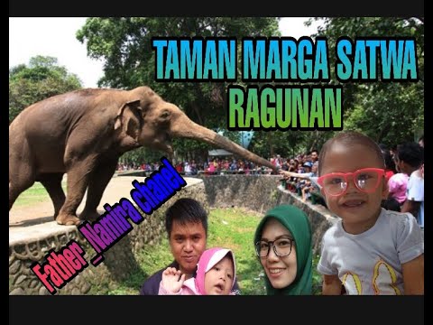 #Ragunanzoo Namira lagi jalan jalan Ke Taman Marga Satwa Ragunan - YouTube