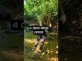 🌿 "জঙ্গলের বুকে এক অদ্ভুত দোলনার দেখা পেলাম😱"#shortvideo #short #viralshort #viral #unfrez #travel