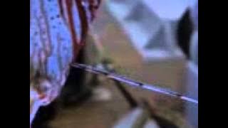 Danger(01).3gp
