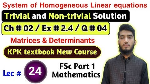 System of Homogeneous Equations | Ex # 2.4 | Q # 04| KPK New course| Lec 24 | fsc part 1 Mathematics
