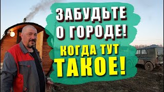 КАК ЖИВЕТСЯ В ДЕРЕВНЕ МНОГОДЕТНОЙ СЕМЬЕ! Как вам живется в деревне? Огород, сад и стройка!