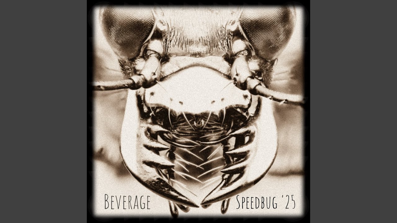 Watch Speedbug on YouTube Watch Speedbug on YouTube