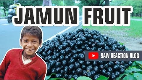 Jamun Fruit SWEET FRUIT JAM Recipe Cooking in | Village 100kg JAVA FRUIT @VillageCookingChannel