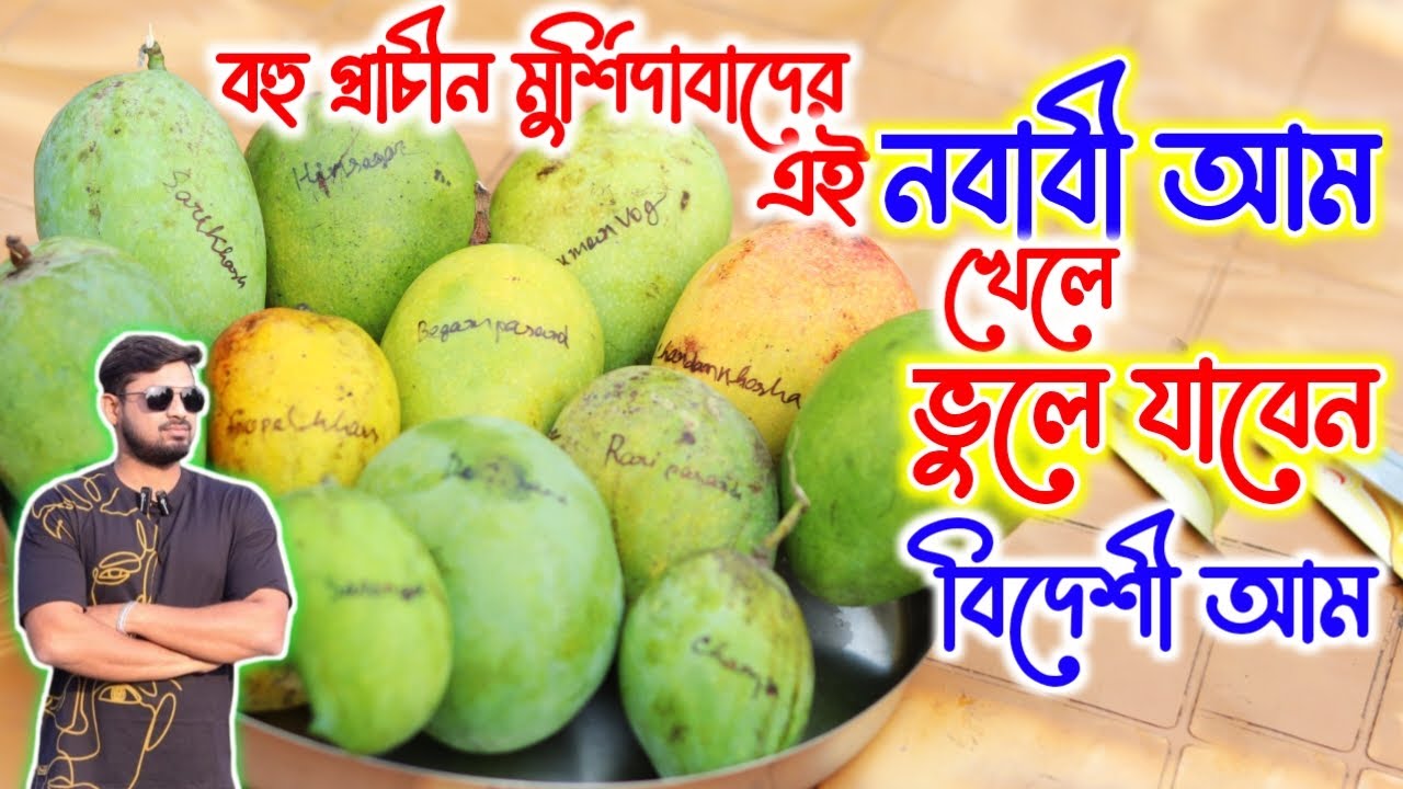 বহু প্রাচীন মুর্শিদাবাদের এই নবাবী আম খেলে বিদেশী আম আর খেতে ইচ্ছে করবে না || Indian Mango ||