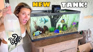 WHAT IS LIVING INSIDE MY TANK? WE BOUGHT NEW ANIMALS!