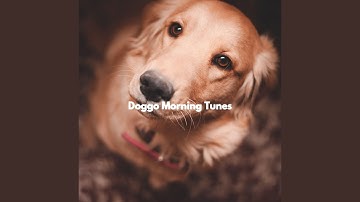 Mind-blowing Backdrops for Free Focus