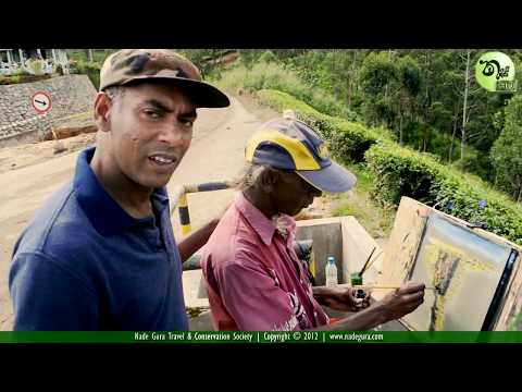 Devon Falls is a waterfall in Sri Lanka, situated 6 km west of Thalawakale, Nuwara Eliya District on A7 highway. The falls is named after a pioneer English c...