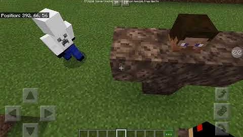 How to summon entity 505