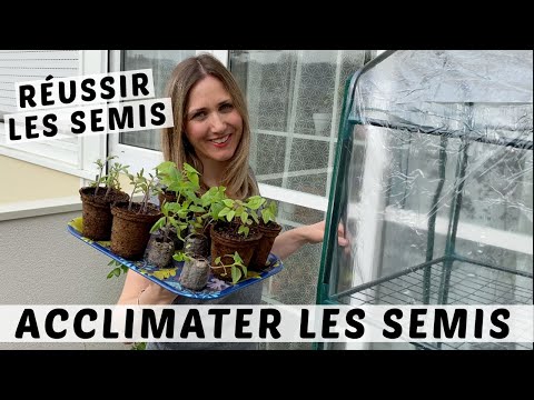 Vidéo: 15 Plantes Pour Inclure Les Semis Dans Votre Alimentation