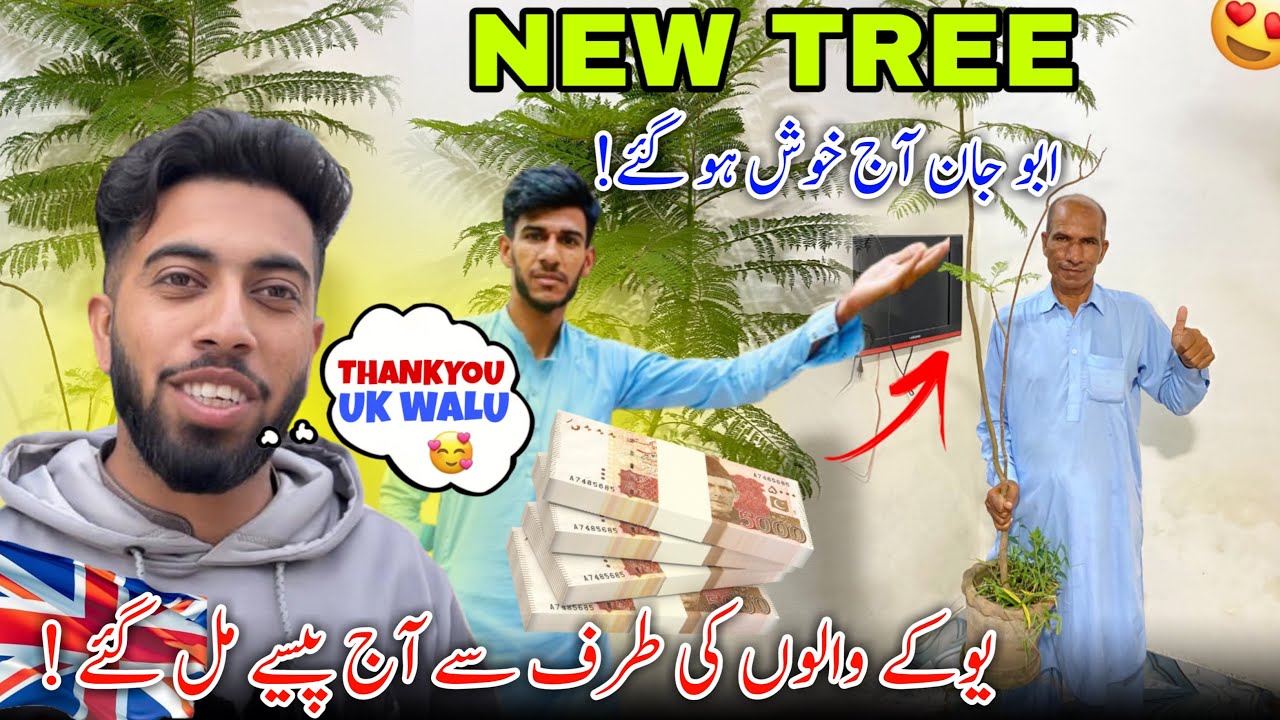 Finally ! New Tree For Home 🥰 Abu Jan Hush Ho Gy || Uk Walu Ki Imanat