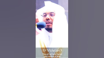 سورة النبإ ياسر الدوسري 4-5