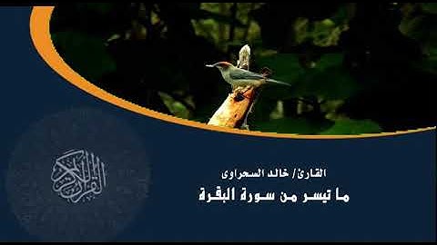 تلاوة رائعة لما تيسر من سورة البقرة