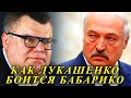 Лукашенко боится Бабарико: 4 главных эпизода их непростых отношений