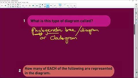 Life Sciences Exam Preparation: Complex Phylogenetic Trees - Q 22/32