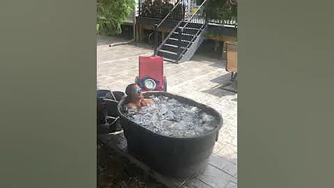 Mastering the one hour ice bath.  Full after drop.