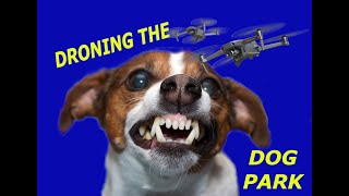 🐶DRONE OVER THE DOG PARK! 😊 #drone #dronevideo #dogs by Drones over Michigan with Randy Morgan 183 views 11 months ago 2 minutes, 14 seconds