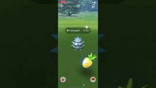 SHINY FERROSEED LETS GOOOOOOOO