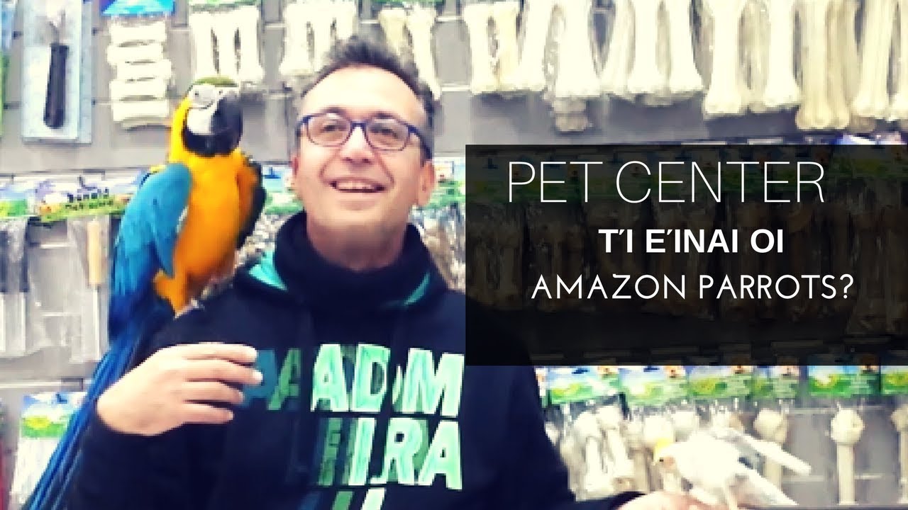 Pet Center amazon parrots YouTube