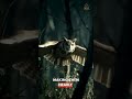 The Secret Weapon Owls Use to Hunt