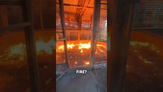Cleaning Chicken Farm Using Fire 🤯