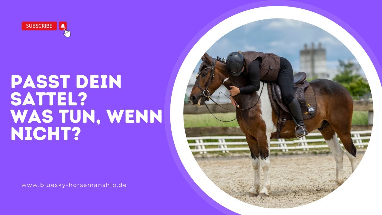 Sattelpassform - Das musst du wissen!