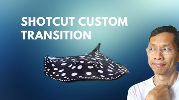 Shotcut Custom Transition