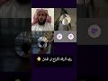 رقيه لازاله الخ راج او الدم ل اكسبلور ترند