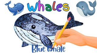 Learning video of Whales for kids Learning Sea Animals for Kids