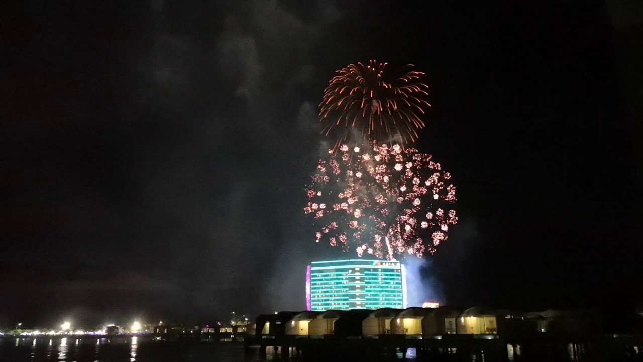 2020 Fireworks Lexis Hibiscus YouTube