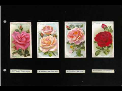 Wills' Cigarettes - Cards of 100 Roses - SlideShow.wmv - YouTube